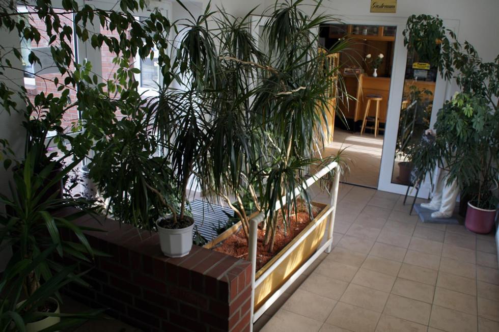 派哥姆兰酒店-法兰克福/奥得 奥得河畔法兰克福 外观 照片